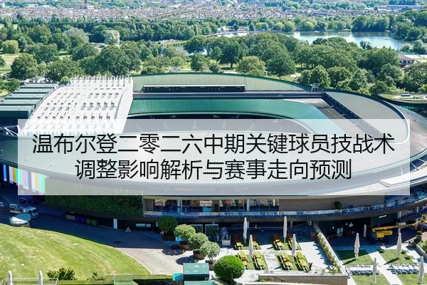 wen-bu-er-deng-er-ling-er-liu-zhong-qi-guan-jian-qiu-yuan-ji-zhan-shu-tiao-zheng-ying-xiang-jie-xi-yu-sai-shi-zou-xiang-2-843.jpg
