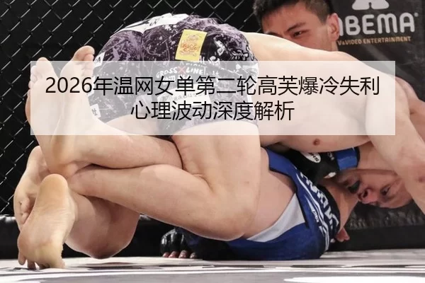 nian-wen-wang-nv-dan-di-er-lun-gao-fu-bao-leng-shi-li-xin-li-bo-dong-shen-du-jie-xi-2-111.jpg