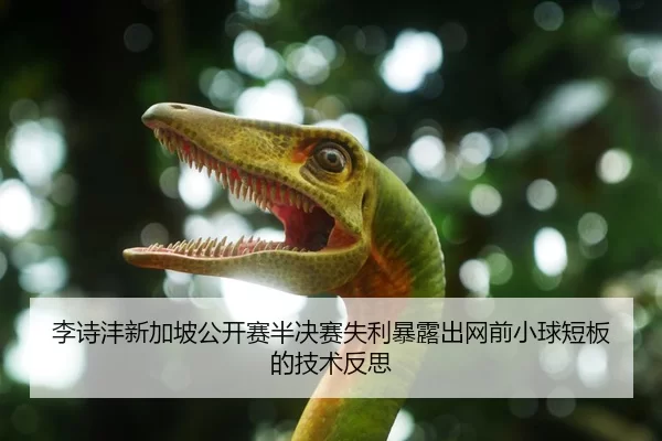 李诗沣新加坡公开赛半决赛失利暴露出网前小球短板的技术反思